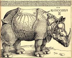 Rinoceronte Durer
