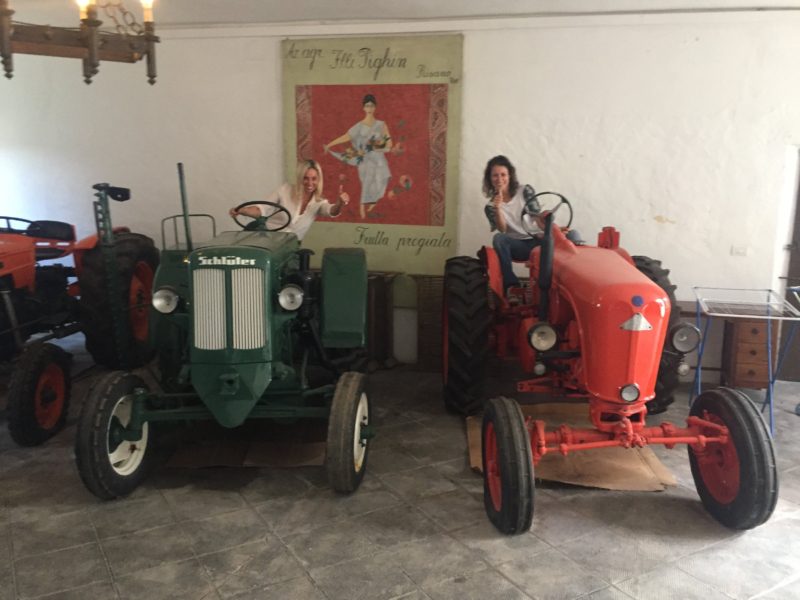 pighin trattori in villa agricola vino friulano