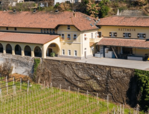 Kettmeir Athesis Pinot Bianco Doc Alto Adige