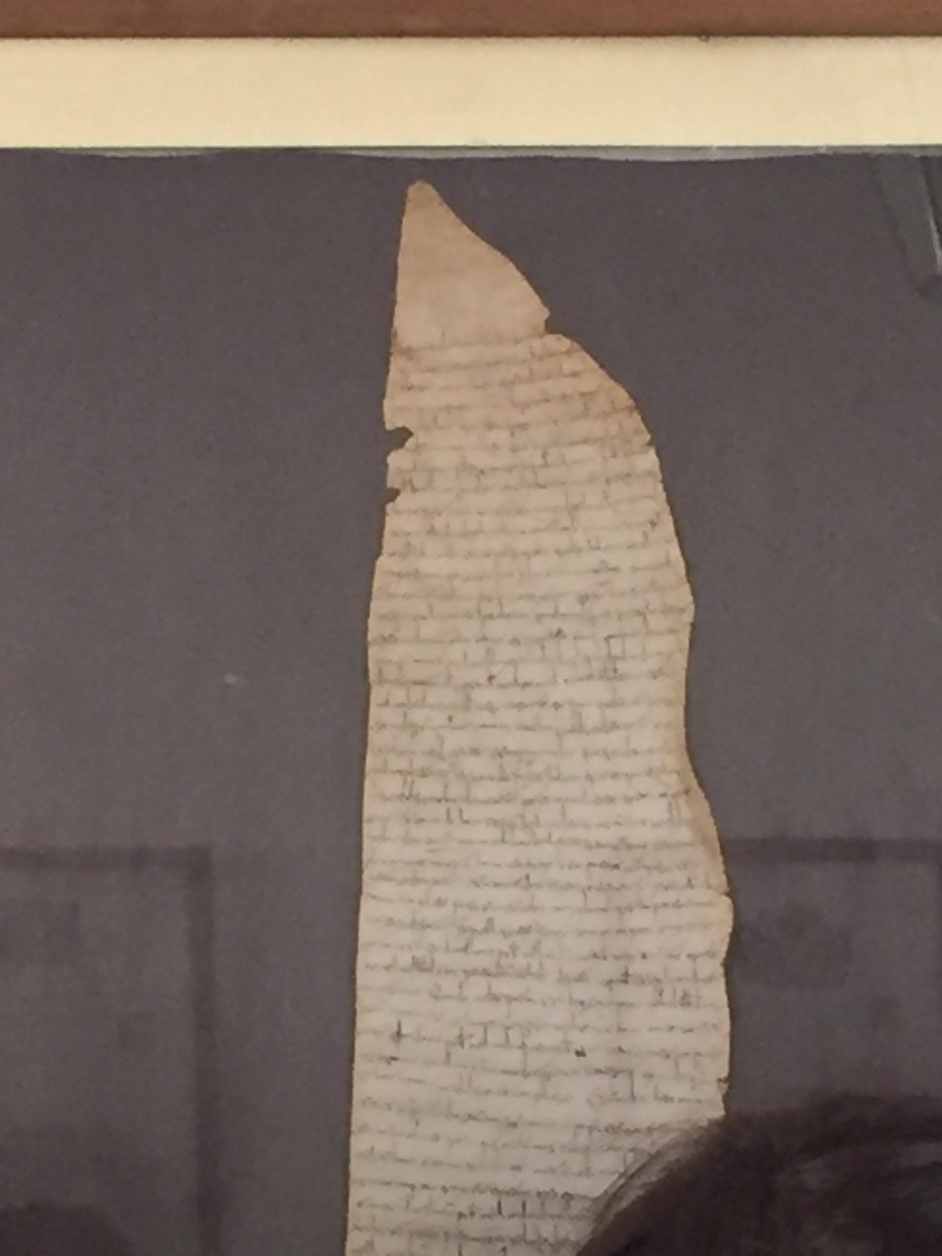 capezzana documento antico 