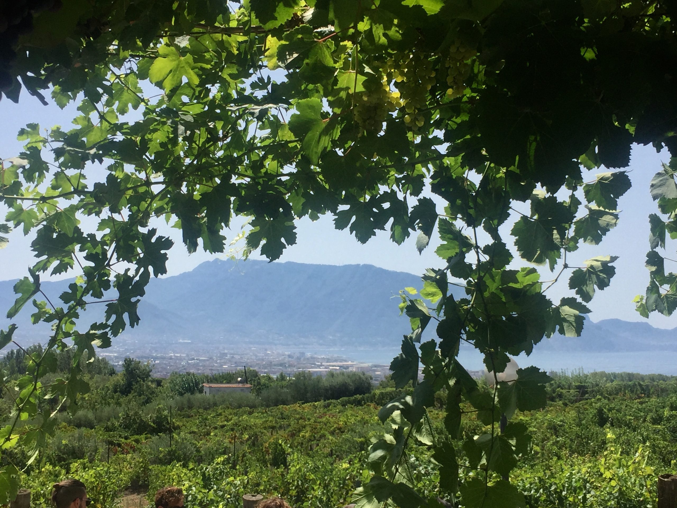 Vista sul golfo di Sorrento tenuta Sorrentino