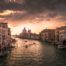 Evento Wine Red Carpet, a Venezia premia la sostenibilità, l'innovazione e l'etica