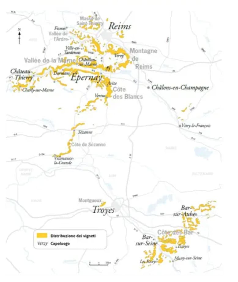 Mappa della regione Champagne con le 5 zone. 